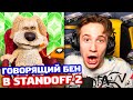 ГОВОРЯЩИЙ БЕН В STANDOFF 2 - ТРОЛЛИНГ!