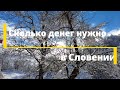 Cколько денег нужно в Словении. Лучший вид на Любляну.