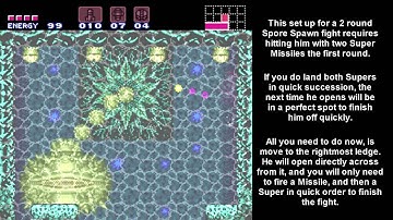 Stardust 2 Round Spore Spawn