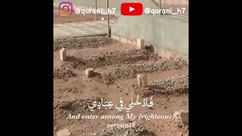 يا أيتها النفس المطمئنة سورة الفجر | أحمد الشافعي