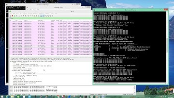 Understand PING and setup Wireshark filters for ICMP traffic (  2018 )
