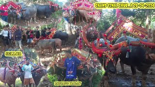 FINAL GRUB_A MACAN MIRA, HE PALAPA, HE KONANG, MINANG KABAU, HE SELLOR, GEMPAR \u0026 Masih Banyak YGlain