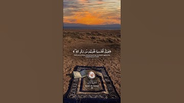 تلاوة هادئة خاشعة للشيخ ياسر الدوسري | أفمن شرح الله صدره للإسلام فهو على نور من ربه فويل للقاسية……