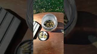 22LR for SHTF Pros and Cons