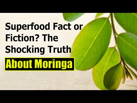 Moringa Oleifera: Superfood Fact or Fiction?