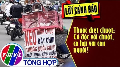 THVL | Thuốc diệt chuột: Có độc với chuột, có hại với con người?