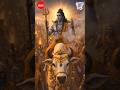 गौरा का दूल्हा Shivaratri Special #shiva #shivratri #bhakti #devotional #song #parvati #mahadev #om