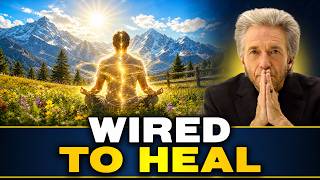 Details The Healing Switch Only Humans Can Consciously Flip News