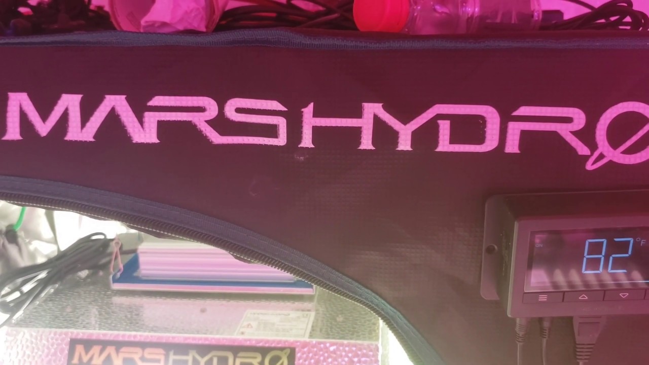 Mars hydro 2x2 tent & Ts1000 flower update day 32 episode #10