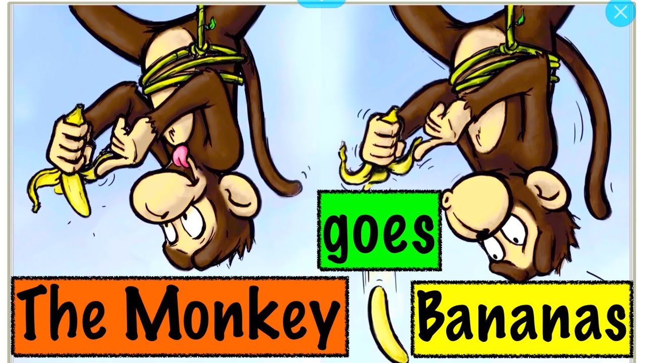 Why Bananas Belong to Monkeys - Storynory