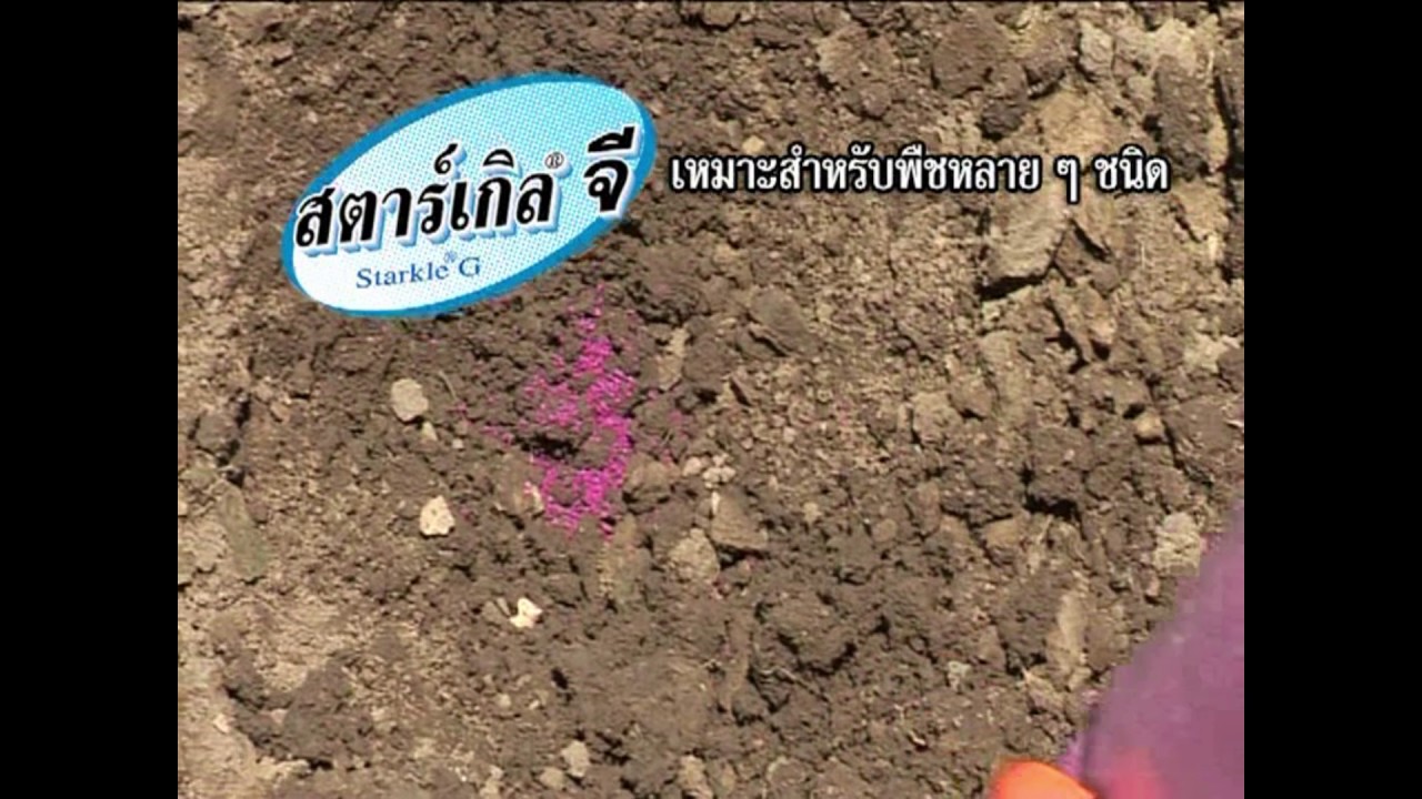 สตาร์เกิล จี (Starkle G) สารกำจัดแมลงชนิดเม็ด