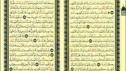 سورة الكهف الآيات ( 16 ـ 27 ) مشارئ العفاسي