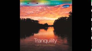 Mountain Magic Radio Edit - Tranquility (Abhijit Pohankar)