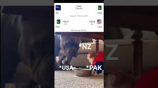 NZ vs PAK Super 8 match NZvsPAK #PAKvsUSA #NZvsPAKSuper8 #PAKvsUSAMatch #PakistanWon