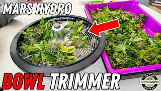 Is THIS the FASTEST Way to TRIM Flower?! 🔥 Seed to Harvest Series | Mars Hydro