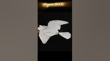 PigeonBot II: Revolutionizing Aviation with Bird-Inspired Flight! #facts #robot #shorts