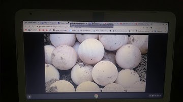 Finding Nemo (Land version style) (Version 3) Part 1 - New Parents.