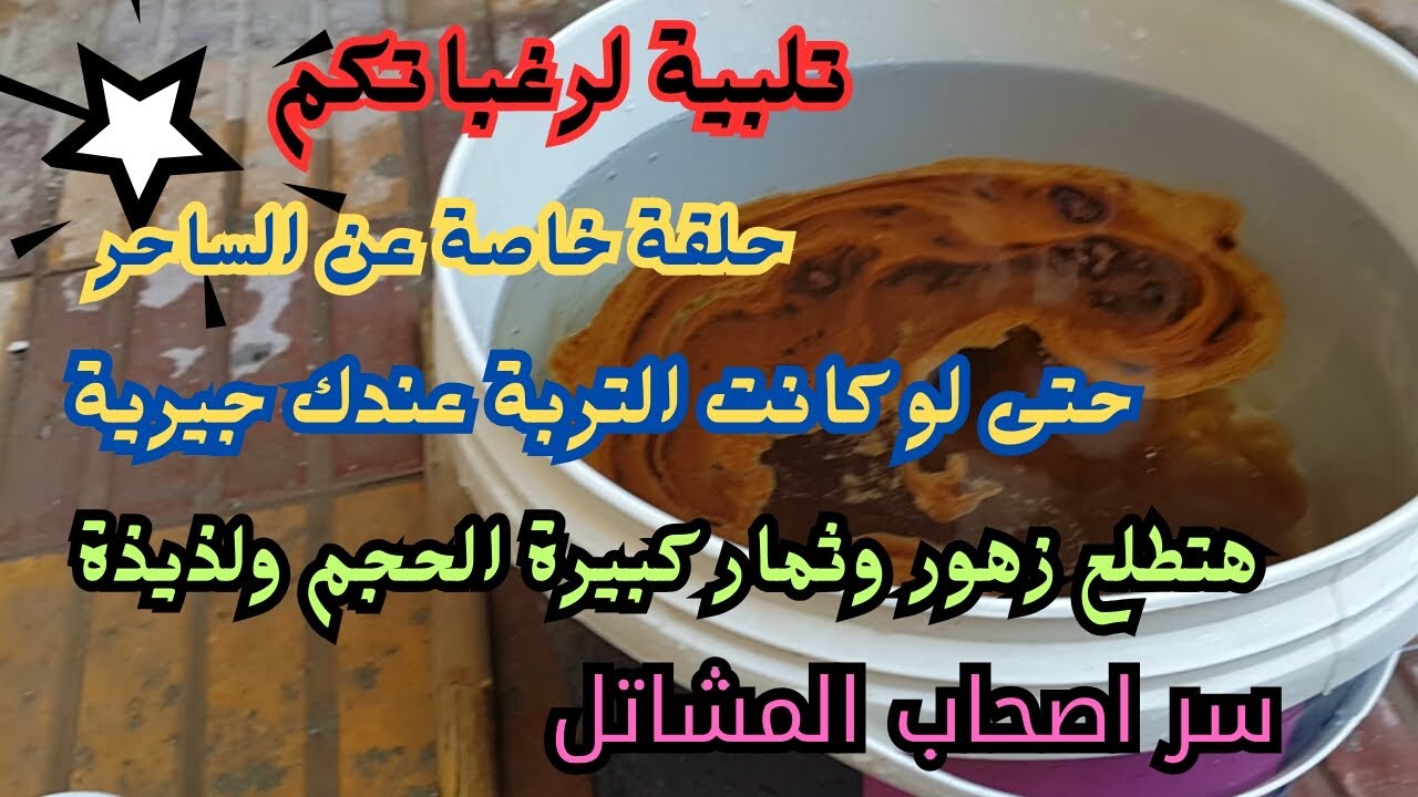 الساحر وسر اصحاب المشاتل ،يحسن خواص التربة والنبات ،يعطى مذاق خاص للفواكة والخضروات، ازهار بكثافة !