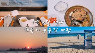 (ENG/JPN CC) [여행vlog]뚜벅이 길치 여자 혼자 주문진 새해 해돋이 여행 | 주문진 막국수 | 주문진 리조트 베니키아 산과 바다 | 강릉 수제버거는 어디에!?