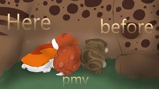 Here before // PMV