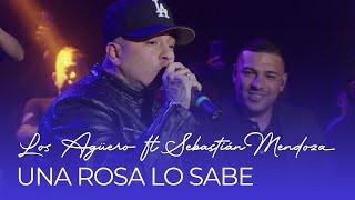 LOS AGÜERO FT. SEBASTIÁN MENDOZA - UNA ROSA LO SABE (En Vivo) | Especial Navidad 40 Años 🌹❤️