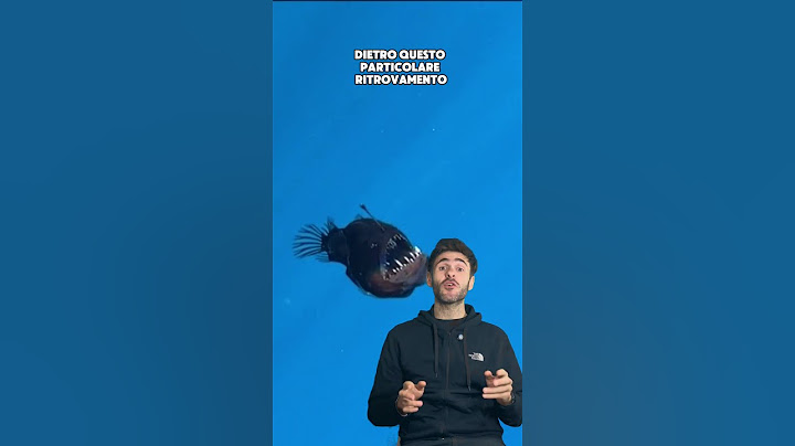 il pesce più chiacchierato del momento 🐟