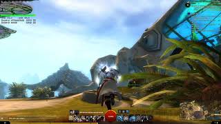 Playing Guild Wars 2 on Linux - Testing D9VK (October 2019)