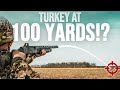 How far can a 12 gauge down a turkey  tss vs lead