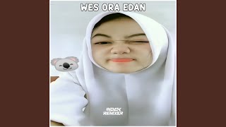 Download lagu Wes ora edan