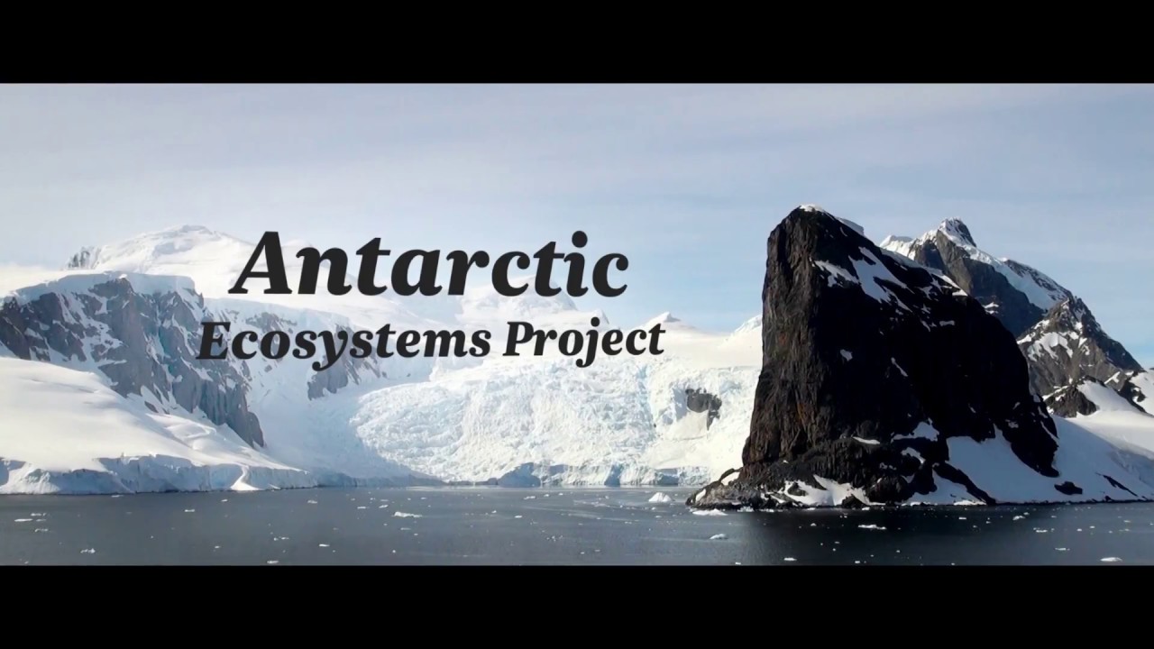 new zealand currency Air New Zealand supports climate science research