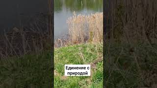 Единение с природой