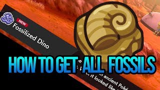 How To Get All Fossils Locations ( Fossilized Dino \& Birds) - Pokemon Sword and Shield