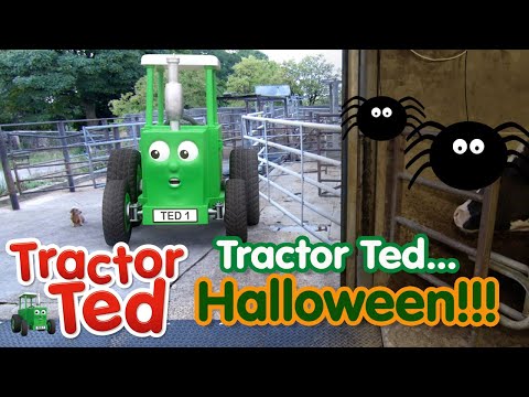 Let's Look For Spiders On The Farm! 🕸👀 | Tractor Ted Halloween | Tractor Ted Official Channel