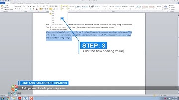Editing in Microsoft Word 2010