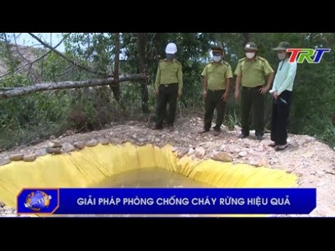 Video: Cách Phòng Chống Cháy Rừng