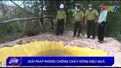 Giải pháp phòng chống cháy rừng hiệu quả