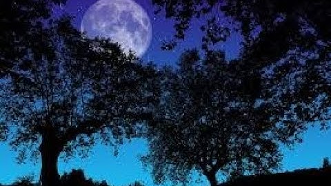 Ludwig van BEETHOVEN "Moonlight Sonata" 1 HOUR BLACK SCREEN Classical Music