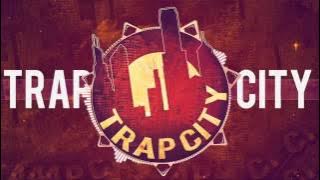 Trapcity bird machine