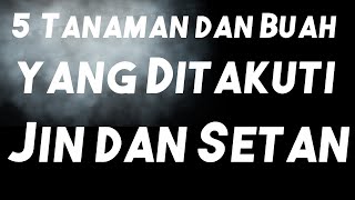 5 jenis Tanaman dan Buah yang Ditakuti Jin dan Setan Berdasar Hadits Rasul, Diantaranya Buah Zaitun