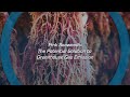 Pink Seaweeds: The Potential Solution to Greenhouse Gas Emission | Esco Scientific