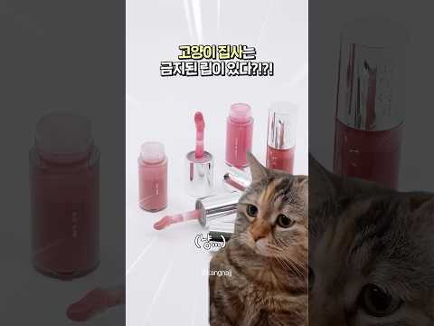 글맆 글루 글로스 <strong>전색상</strong> 내돈내산 리뷰🤗 고양이 집사 금지템!!