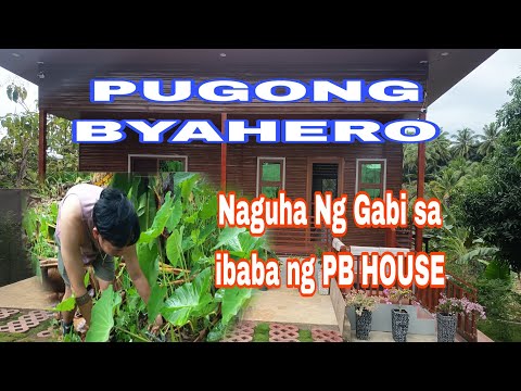 PUGONG BYAHERO Nag Kuha Ng Gabi Sa Ibaba
