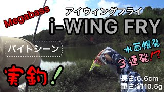 Megabass（メガバス）i-WING FRY（アイウィングフライ）実釣‼️水面爆発３連発⁉️