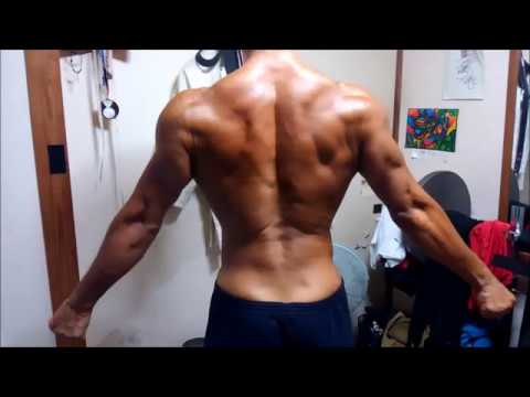 ベストオブ 血管 浮き出る 筋トレ 画像ブログ