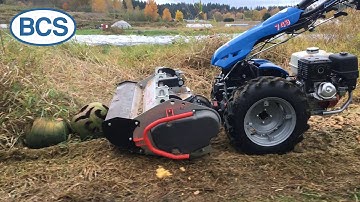 Shredding Pumpkins and Tall Grass with Flail Mower and BCS Two-Wheel Tractor