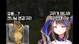 봇치 더 칸나 ㅣ 러스트