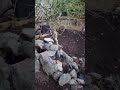 Outdoor Pond