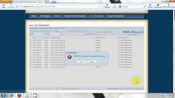 Vertical Assessment EZ Inspection Report Viewer