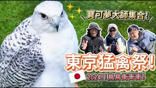 2024東京猛禽祭－日本最盛大馴鷹比賽，各路大神齊聚一堂！| 波氏家族 popofamily