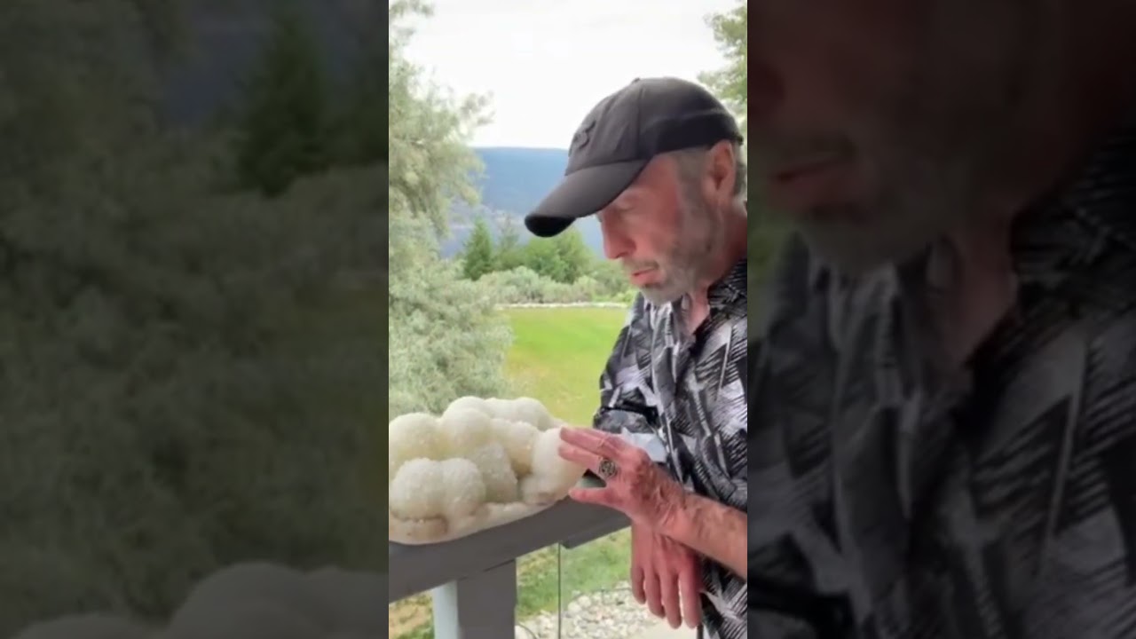 The Story Behind The Album Cover For Midnight Rose: Part I 